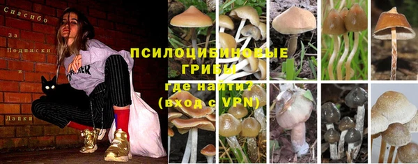 мефедрон Туринск