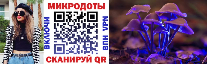 Псилоцибиновые грибы Psilocybine cubensis  Тулун 